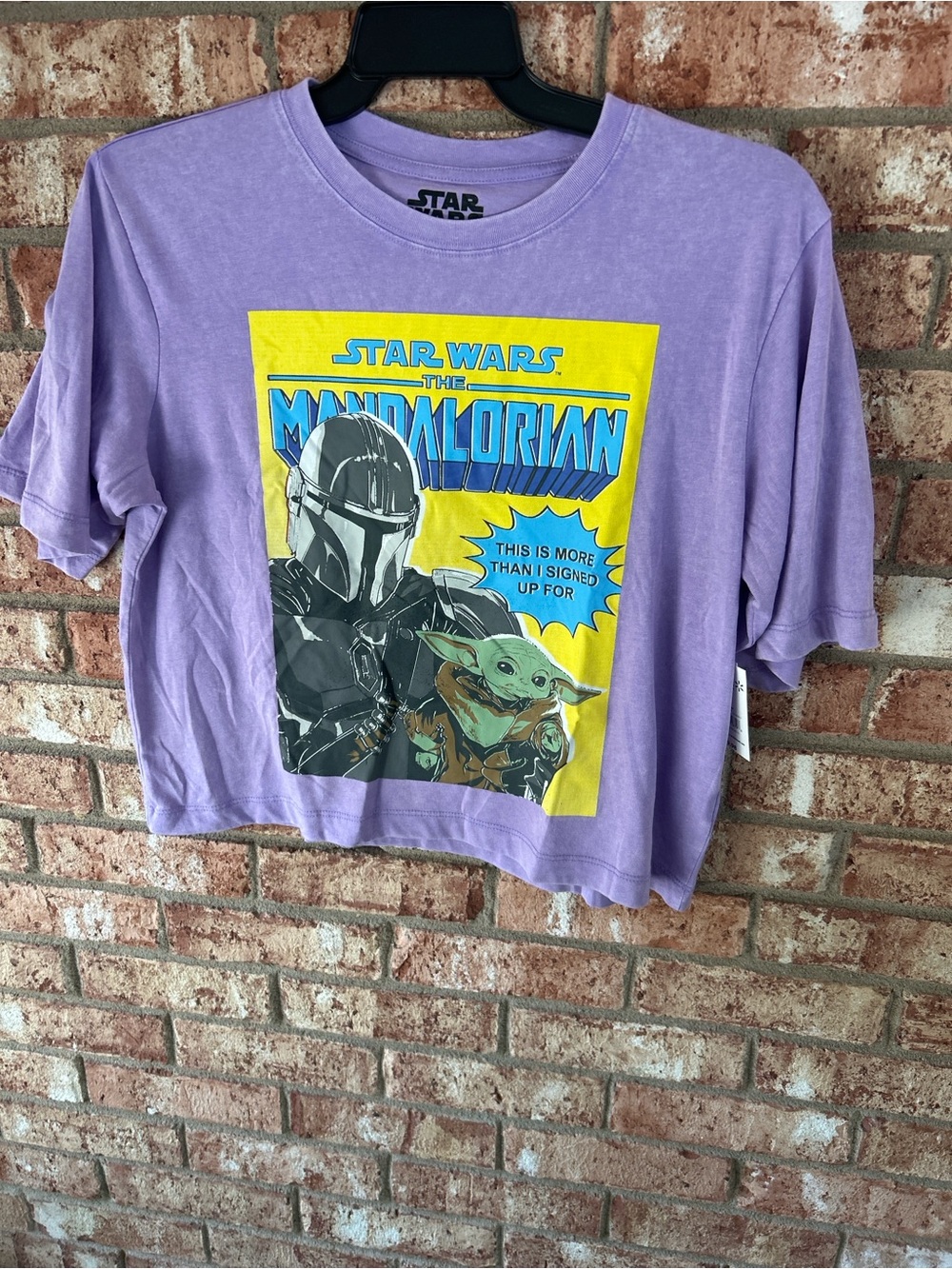 Women’s Size Medium Star Wars The Mandalorian Purple Graphic Crop Tee